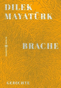 Brache