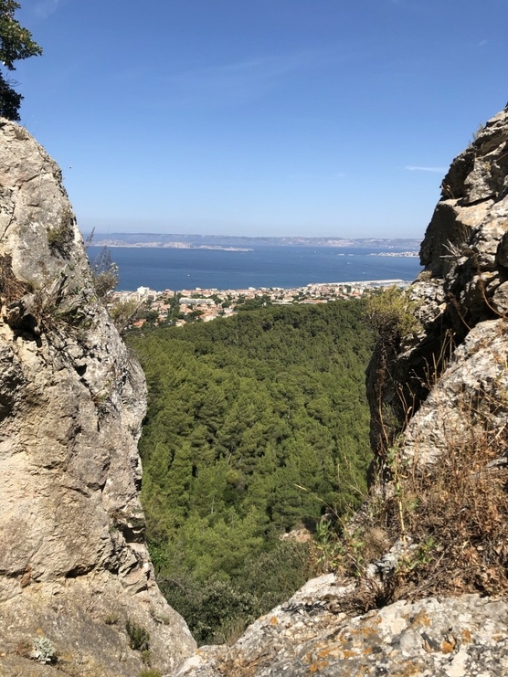 Blog 5